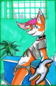 Rating: Explicit Score: 0 Tags: 2002 anthro briefs canid canine clothed clothing clothing_lift collar e621 ear_piercing fox genitals greenmonkey half-erect humanoid_genitalia humanoid_penis male mammal penis penis_poking_out penis_through_leghole piercing shirt shirt_lift shota solo tail topwear underwear young young_anthro young_male User: bunchy7s Rating: Explicit Score: 0 Tags: 2002 anthro briefs canid canine clothed clothing clothing_lift collar e621 ear_piercing fox genitals greenmonkey half-erect humanoid_genitalia humanoid_penis male mammal penis penis_poking_out penis_through_leghole piercing shirt shirt_lift shota solo tail topwear underwear young young_anthro young_male User: bunchy7s
