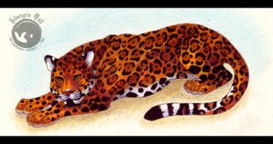 Rating: Safe Score: 0 Tags: ambiguous_gender black_bars cert digitigrade e621 felid feral fur jaguar letterbox mammal markings pantherine quadruped silvergrin solo spots spotted_body spotted_fur tail User: bunchy7s Rating: Safe Score: 0 Tags: ambiguous_gender black_bars cert digitigrade e621 felid feral fur jaguar letterbox mammal markings pantherine quadruped silvergrin solo spots spotted_body spotted_fur tail User: bunchy7s