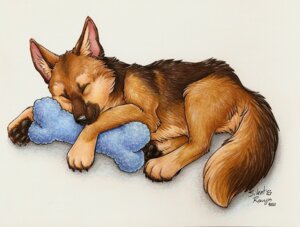 Rating: Safe Score: 0 Tags: 2011 ambiguous_gender canid canine canis domestic_dog e621 eyes_closed feral german_shepherd herding_dog mammal pastoral_dog quadruped silentravyn sleeping solo tail traditional_media_(artwork) User: bunchy7s Rating: Safe Score: 0 Tags: 2011 ambiguous_gender canid canine canis domestic_dog e621 eyes_closed feral german_shepherd herding_dog mammal pastoral_dog quadruped silentravyn sleeping solo tail traditional_media_(artwork) User: bunchy7s