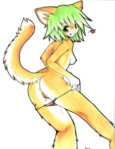 Rating: Explicit Score: 0 Tags: anthro breasts clothing domestic_cat e621 felid feline felis female genitals green_hair hair mammal nipples panties simple_background solo tail underwear undressing unknown_artist vulva white_background User: bunchy7s Rating: Explicit Score: 0 Tags: anthro breasts clothing domestic_cat e621 felid feline felis female genitals green_hair hair mammal nipples panties simple_background solo tail underwear undressing unknown_artist vulva white_background User: bunchy7s