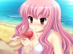 Rating: Explicit Score: 0 Tags: beach blush censored female game_cg handjob long_hair louise_francoise_le_blanc_de_la_valliere male ocean penis pink_eyes pink_hair rule34 swimsuit team-tanabe zero_no_tsukaima User: bunchy7s