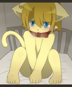 Rating: Questionable Score: 0 Tags: 2011 anthro bed biped blonde_hair blue_eyes blush collar e621 felid furniture hair hi_res looking_at_viewer male mammal satsuki_rabbit short_hair shuro_(satsuki_rabbit) sitting solo tail young young_anthro young_male User: bunchy7s