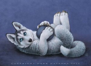 Rating: Safe Score: 0 Tags: 2014 ambiguous_gender ball black_nose blue_eyes canid canine canis claws cool_colors dark_natasha dipstick_tail domestic_dog e621 feral fluffy fluffy_tail fur grey_body grey_fur holding_ball holding_object husky legs_up looking_aside looking_at_viewer lying mammal markings multicolored_tail nordic_sled_dog nude on_back side_view signature solo spitz tail tail_markings toe_claws white_body white_fur young young_feral User: bunchy7s Rating: Safe Score: 0 Tags: 2014 ambiguous_gender ball black_nose blue_eyes canid canine canis claws cool_colors dark_natasha dipstick_tail domestic_dog e621 feral fluffy fluffy_tail fur grey_body grey_fur holding_ball holding_object husky legs_up looking_aside looking_at_viewer lying mammal markings multicolored_tail nordic_sled_dog nude on_back side_view signature solo spitz tail tail_markings toe_claws white_body white_fur young young_feral User: bunchy7s