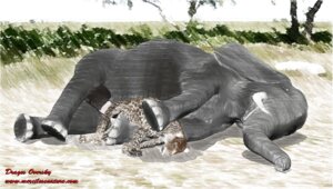 Rating: Explicit Score: 0 Tags: anal anal_penetration animal_genitalia animal_penis digital_media_(artwork) dominant drages duo e621 elephant elephant_penis elephantid erection felid feral forced genitals interspecies large_penetration larger_dom leopard male male/male male_penetrated male_penetrating male_penetrating_male mammal pantherine penetration penile penile_penetration penis proboscidean proboscis_(anatomy) quadruped rape realistic_feral ridiculous_fit sex size_difference slightly_chubby smaller_penetrated tight_fit trunk_(anatomy) tusks User: bunchy7s