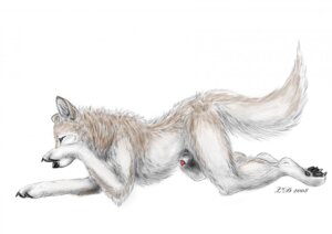 Rating: Explicit Score: 0 Tags: 2008 all_fours animal_genitalia blue_eyes canid canine canis domestic_dog e621 fully_sheathed genitals labbedog lying male mammal nude on_front paws penis penis_tip semi-anthro sheath simple_background solo tail white_background User: bunchy7s Rating: Explicit Score: 0 Tags: 2008 all_fours animal_genitalia blue_eyes canid canine canis domestic_dog e621 fully_sheathed genitals labbedog lying male mammal nude on_front paws penis penis_tip semi-anthro sheath simple_background solo tail white_background User: bunchy7s