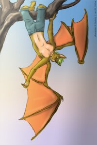 Rating: Safe Score: 0 Tags: 2014 2:3 anthro bat blonde_hair bottomwear branch ciirka clinging clothed clothing countershading dangling e621 feet front_view full-length_portrait fur green_hair hair hanging_by_legs hanging_from_branch hindpaw in_tree looking_at_viewer male mammal membrane_(anatomy) membranous_wings outside pants paws pink_nose plant portrait short_hair shorts smile solo sunny topless tree upside_down white_body white_countershading wings User: bunchy7s