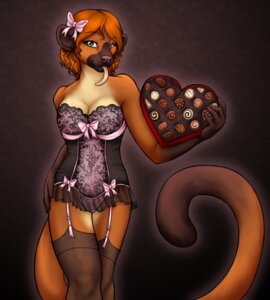 Rating: Questionable Score: 0 Tags: anthro breasts candy chocolate clemi_(clemikou) clemikou clothing dessert e621 female food garter_straps holidays kinkajou legwear lingerie mammal procyonid solo stockings tail teddy_(clothing) valentine's_day User: bunchy7s