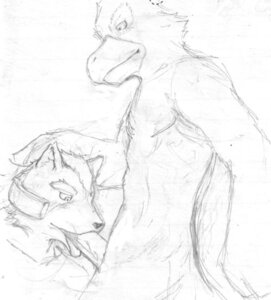 Rating: Explicit Score: 0 Tags: anthro avian bird canine color falco_lombardi fellatio fox fox_mccloud fur furry furry_only gay interspecies male male_only multiple_males nintendo no_humans oral pheasant rule34 star_fox yaoi User: bunchy7s Rating: Explicit Score: 0 Tags: anthro avian bird canine color falco_lombardi fellatio fox fox_mccloud fur furry furry_only gay interspecies male male_only multiple_males nintendo no_humans oral pheasant rule34 star_fox yaoi User: bunchy7s