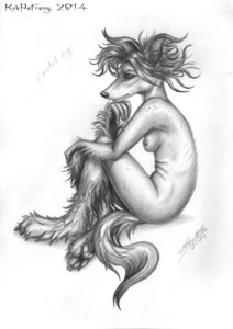 Rating: Questionable Score: 0 Tags: 2014 anthro biped breasts canid canine canis chinese_crested_dog domestic_dog e621 female greyscale hair hairless hairless_dog hi_res kekpafrany mammal messy_hair monochrome nipples nude sitting solo toy_dog traditional_media_(artwork) User: bunchy7s