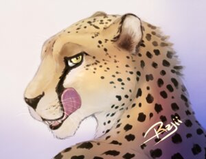 Rating: Questionable Score: 0 Tags: 2011 anthro cheetah e621 felid feline fur licking licking_lips licking_own_lips looking_back male mammal rajii seductive self_lick simple_background solo tongue tongue_out white_background User: bunchy7s Rating: Questionable Score: 0 Tags: 2011 anthro cheetah e621 felid feline fur licking licking_lips licking_own_lips looking_back male mammal rajii seductive self_lick simple_background solo tongue tongue_out white_background User: bunchy7s