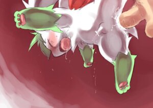 Rating: Explicit Score: 0 Tags: censored feral hatsuga male male_only nintendo pokemon pokemon_(species) rule34 shaymin tagme User: bunchy7s Rating: Explicit Score: 0 Tags: censored feral hatsuga male male_only nintendo pokemon pokemon_(species) rule34 shaymin tagme User: bunchy7s