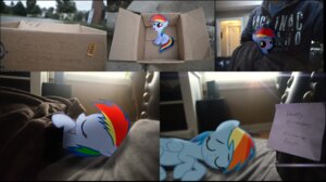 Rating: Safe Score: 0 Tags: absurd_res adoption bed blue_body blue_feathers blue_fur box container duo e621 equid equine eyes_closed feathered_wings feathers female feral friendship_is_magic fur furniture hair hasbro hi_res lens_flare mammal mixed_media multicolored_hair my_little_pony mythological_creature mythological_equine mythology pegasus photo_background photography_(artwork) quadruped rainbow_dash_(mlp) rainbow_hair real sleeping tail toony unknown_artist wings User: bunchy7s Rating: Safe Score: 0 Tags: absurd_res adoption bed blue_body blue_feathers blue_fur box container duo e621 equid equine eyes_closed feathered_wings feathers female feral friendship_is_magic fur furniture hair hasbro hi_res lens_flare mammal mixed_media multicolored_hair my_little_pony mythological_creature mythological_equine mythology pegasus photo_background photography_(artwork) quadruped rainbow_dash_(mlp) rainbow_hair real sleeping tail toony unknown_artist wings User: bunchy7s