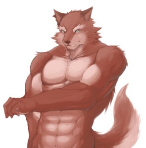 Rating: Safe Score: 0 Tags: 2012 abs anthro barazoku biceps canid canine canis clothed clothing e621 flexing fox fur green_eyes istani kemono male mammal muscular muscular_anthro muscular_male nude pecs pose simple_background solo tail topless white_background wolf User: bunchy7s