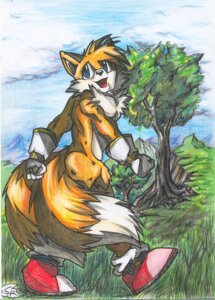 Rating: Safe Score: 0 Tags: anthro blue_eyes canid canine chest_tuft clothing e621 fox fur gloves handwear male mammal miles_prower multi_tail plant sega solo sonic_the_hedgehog_(series) tail tree tuft unknown_artist wood User: bunchy7s