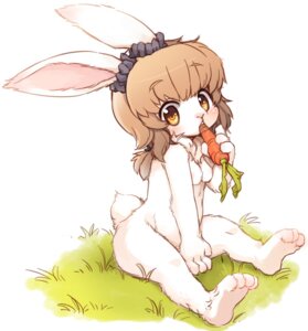 Rating: Questionable Score: 0 Tags: anthro areola biped blush breasts brown_hair carrot child e621 female food grass hair kishibe lagomorph leporid looking_at_viewer mammal nipples plant rabbit sitting solo vegetable young young_anthro young_female User: bunchy7s Rating: Questionable Score: 0 Tags: anthro areola biped blush breasts brown_hair carrot child e621 female food grass hair kishibe lagomorph leporid looking_at_viewer mammal nipples plant rabbit sitting solo vegetable young young_anthro young_female User: bunchy7s