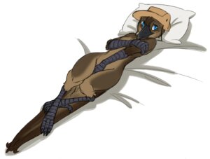 Rating: Safe Score: 0 Tags: 2012 anthro avian avian_feet beak biped bird blue_eyes breasts brown_hair clothing conditional_dnp covering covering_self e621 female hair hat hat_only headgear headgear_only headwear headwear_only lizanne lying lyrebird mostly_nude non-mammal_breasts oscine passerine pillow sefeiren solo User: bunchy7s Rating: Safe Score: 0 Tags: 2012 anthro avian avian_feet beak biped bird blue_eyes breasts brown_hair clothing conditional_dnp covering covering_self e621 female hair hat hat_only headgear headgear_only headwear headwear_only lizanne lying lyrebird mostly_nude non-mammal_breasts oscine passerine pillow sefeiren solo User: bunchy7s