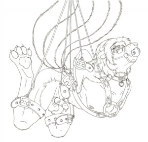 Rating: Explicit Score: 0 Tags: accessory anthro ball_gag bdsm black_and_white bondage bound cock_ring collar e621 erection eyewear frogtied gag gagged genitals glasses halter hands_behind_back harness harness_ball_gag harness_gag humanoid_genitalia humanoid_penis jewelry leather legs_tied male mammal mephitid monochrome muzzle_(object) muzzled nude penis penis_accessory penis_jewelry skunk solo submissive submissive_male suspension suspension_bondage tail tail_bondage tail_tied unknown_artist white_ball_gag white_collar User: bunchy7s Rating: Explicit Score: 0 Tags: accessory anthro ball_gag bdsm black_and_white bondage bound cock_ring collar e621 erection eyewear frogtied gag gagged genitals glasses halter hands_behind_back harness harness_ball_gag harness_gag humanoid_genitalia humanoid_penis jewelry leather legs_tied male mammal mephitid monochrome muzzle_(object) muzzled nude penis penis_accessory penis_jewelry skunk solo submissive submissive_male suspension suspension_bondage tail tail_bondage tail_tied unknown_artist white_ball_gag white_collar User: bunchy7s