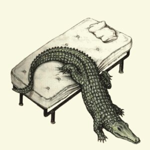 Rating: Explicit Score: 0 Tags: 1981 1:1 2d_animation after_sex animated animated_gif bed butt codex_seraphinianus crocodile crocodilian e621 female feral feral_transformation furniture green_body green_scales group human human_to_feral loop low_res luigi_serafini male male/female mammal mattress merging on_bed pillow reptile scales scalie sex short_playtime simple_background solo_focus species_transformation tail transformation transformation_through_sex what what_has_science_done white_background white_bed why User: bunchy7s