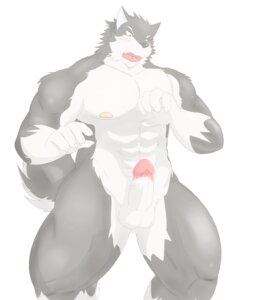 Rating: Explicit Score: 0 Tags: abs anthro balls barazoku biceps biped blush canid canine canis domestic_dog e621 erection fur genitals hati-skm hi_res kemono male mammal muscular muscular_anthro muscular_male nipples nude pecs penis slightly_chubby solo standing tail thick_penis vein wolf User: bunchy7s