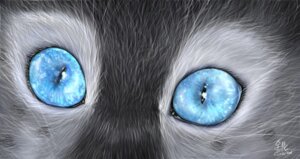 Rating: Safe Score: 0 Tags: ambiguous_gender blue_eyes e621 eye_shot felid glowing glowing_eyes looking_at_viewer mammal silver_lynx_69 solo source_request whiskers User: bunchy7s Rating: Safe Score: 0 Tags: ambiguous_gender blue_eyes e621 eye_shot felid glowing glowing_eyes looking_at_viewer mammal silver_lynx_69 solo source_request whiskers User: bunchy7s