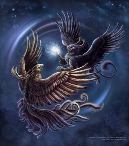 Rating: Safe Score: 0 Tags: ambiguous_gender angry avian battle beak black_body black_feathers brown_body brown_feathers claws detailed duo e621 feathered_wings feathers feral fight flying gathering_power glowing gryphon jewelry mythological_avian mythological_creature mythology necklace purple_body purple_feathers rawena realistic red-izak scales simple_background space spread_wings star tail tail_tuft tuft wings yellow_body yellow_eyes yellow_scales User: bunchy7s