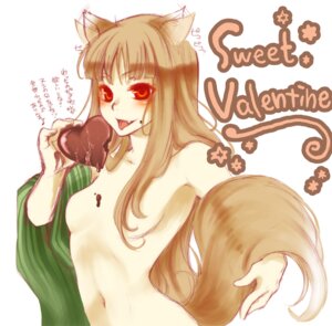 Rating: Explicit Score: 0 Tags: 1girls blush breasts clothing female holo rule34 small_breasts spice_and_wolf tagme translation_request User: bunchy7s