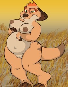 Rating: Explicit Score: 0 Tags: 2009 anthro bbw bbw_mom breasts chubby disney female lilglenndoggy meerkat milf nipples puffy_nipples pussy rule34 the_lion_king the_lion_king_1&frac12; timon's_ma walt_disney_pictures User: bunchy7s