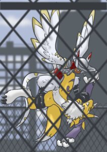Rating: Explicit Score: 0 Tags: 9_6 anthro avian canine color day digimon digimon_(species) female fence fox fur furry harpy harpymon humanoid interspecies male monster_boy nude outdoors renamon rule34 tagme User: bunchy7s