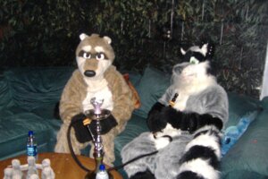 Rating: Safe Score: 0 Tags: 2009 ambiguous_gender anthro clothing costume drugs duo e621 fursuit grandfathered_content hookah mammal photography_(artwork) procyonid raccoon real smoke unknown_artist User: bunchy7s