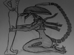 Rating: Explicit Score: 0 Tags: 1girls 2d alien_(franchise) female female_xenomorph inner_mouth interspecies rule34 sketch tagme xenomorph xenomorph_tail User: bunchy7s Rating: Explicit Score: 0 Tags: 1girls 2d alien_(franchise) female female_xenomorph inner_mouth interspecies rule34 sketch tagme xenomorph xenomorph_tail User: bunchy7s