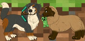 Rating: Safe Score: 0 Tags: 2014 ambiguous_gender bernese_mountain_dog blue_eyes canid canine canis cosplay creeper_(minecraft) diamond_(gem) diamond_pickaxe digital_media_(artwork) domestic_dog duo e621 feral fur gem leonberger looking_back mammal microsoft minecraft mojang molosser mountain_dog mouth_hold nude pickaxe plushie raised_tail rottie. swiss_mountain_dog tail xbox_game_studios User: bunchy7s Rating: Safe Score: 0 Tags: 2014 ambiguous_gender bernese_mountain_dog blue_eyes canid canine canis cosplay creeper_(minecraft) diamond_(gem) diamond_pickaxe digital_media_(artwork) domestic_dog duo e621 feral fur gem leonberger looking_back mammal microsoft minecraft mojang molosser mountain_dog mouth_hold nude pickaxe plushie raised_tail rottie. swiss_mountain_dog tail xbox_game_studios User: bunchy7s