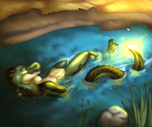 Rating: Explicit Score: 0 Tags: 2011 anthro areola arm_in_water barely_visible_genitalia barely_visible_vulva breasts crocodile crocodilian digital_media_(artwork) e621 female fivel foot_out_of_water fully_submerged_arm genitals legs_in_water nipples non-mammal_breasts non-mammal_nipples nude outside partially_submerged reflection reptile river savanna scalie solo submerged_arm submerged_arms submerged_legs submerged_tail tail tail_out_of_water vulva water User: bunchy7s