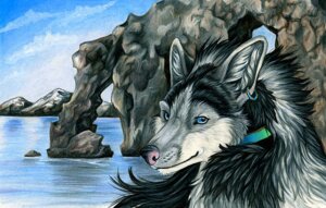 Rating: Safe Score: 0 Tags: black_body black_fur black_hair blue_eyes bust_portrait canid canine day detailed detailed_background e621 ear_piercing feral fur grey_body grey_fur grey_hair hair ladyjekyll looking_at_viewer male mammal multicolored_hair nude outside piercing portrait realistic rock rocky_shore sky smile solo traditional_media_(artwork) water User: bunchy7s Rating: Safe Score: 0 Tags: black_body black_fur black_hair blue_eyes bust_portrait canid canine day detailed detailed_background e621 ear_piercing feral fur grey_body grey_fur grey_hair hair ladyjekyll looking_at_viewer male mammal multicolored_hair nude outside piercing portrait realistic rock rocky_shore sky smile solo traditional_media_(artwork) water User: bunchy7s
