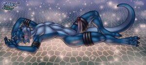 Rating: Explicit Score: 0 Tags: 3_toes anthro balls bandai_namco biped blue_body blue_skin blush chokodonkey conditional_dnp digimon digimon_(species) e621 erection feet flamedramon genitals humanoid_genitalia humanoid_penis looking_at_viewer lying male nude on_back pattern_background penis pose presenting red_eyes scalie simple_background smile solo tail toes User: bunchy7s Rating: Explicit Score: 0 Tags: 3_toes anthro balls bandai_namco biped blue_body blue_skin blush chokodonkey conditional_dnp digimon digimon_(species) e621 erection feet flamedramon genitals humanoid_genitalia humanoid_penis looking_at_viewer lying male nude on_back pattern_background penis pose presenting red_eyes scalie simple_background smile solo tail toes User: bunchy7s