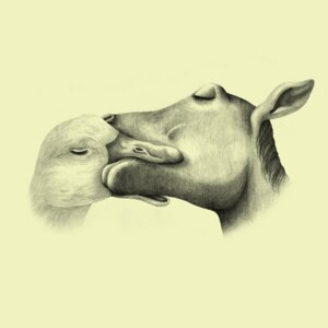 Rating: Questionable Score: 0 Tags: 1:1 ambiguous_gender anatid anseriform avian beak bird duck duo e621 equid equine feral horse interspecies kissing mammal monochrome saiman_chow sepia User: bunchy7s Rating: Questionable Score: 0 Tags: 1:1 ambiguous_gender anatid anseriform avian beak bird duck duo e621 equid equine feral horse interspecies kissing mammal monochrome saiman_chow sepia User: bunchy7s