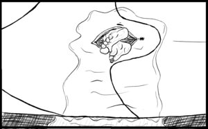 Rating: Explicit Score: 0 Tags: animal cetacean comic dolorcin female feral feral_unbirthing_human gone_swimming_ii human interspecies marine orca rule34 size_difference unbirthing vore willing_prey yuri zoophilia User: bunchy7s