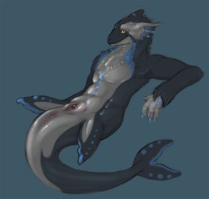 Rating: Explicit Score: 0 Tags: 2012 amber_eyes anthro anus aquatic aquatic_dragon biped black_body black_skin blue_body blue_skin canid canine canis cetacean chest_tuft clitoris conditional_dnp dolphin dragon e621 female fin flat_chested fur furred_dragon furred_scalie genitals hybrid looking_at_viewer lying mammal mythological_creature mythological_scalie mythology nails nude oceanic_dolphin orca presenting scalie smile solo tail tojo_the_thief toothed_whale tuft vulva wolf User: bunchy7s