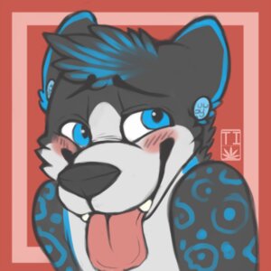 Rating: Safe Score: 0 Tags: 1:1 2013 anthro belly blue_eyes blue_markings blush canid canine canis digital_media_(artwork) e621 ear_piercing gauged_ear male mammal markings novacwolf piercing solo spazzyhusky spots spotted_body tongue tongue_out white_belly wolf User: bunchy7s Rating: Safe Score: 0 Tags: 1:1 2013 anthro belly blue_eyes blue_markings blush canid canine canis digital_media_(artwork) e621 ear_piercing gauged_ear male mammal markings novacwolf piercing solo spazzyhusky spots spotted_body tongue tongue_out white_belly wolf User: bunchy7s