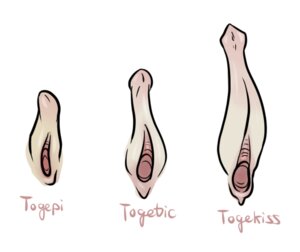 Rating: Explicit Score: 0 Tags: disembodied_penis e621 english_text erection generation_2_pokemon generation_4_pokemon genitals group herm intersex male nintendo penis pokemon pokemon_(species) romaine simple_background text togekiss togepi togetic vulva white_background User: bunchy7s