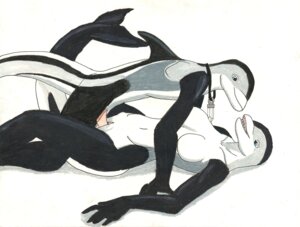 Rating: Explicit Score: 0 Tags: adleisio adleisio_(character) anthro aquatic breasts cassandra_(adleisio) cetacean crystal dolphin duo e621 erection female female_penetrated fin genitals jewelry male male/female male_penetrating male_penetrating_female mammal necklace nude oceanic_dolphin penetration penile penile_penetration penis penis_in_vagina sex simple_background tail toothed_whale traditional_media_(artwork) vaginal vaginal_penetration vulva white-beaked white_background User: bunchy7s