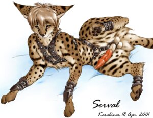 Rating: Explicit Score: 0 Tags: 2001 accessory ankle_cuffs balls bdsm bondage bound brown_eyes brown_pawpads cock_ring collar cuff_(restraint) e621 erection felid feline feral fur genitals jewelry karabiner leather male mammal markings nipple_piercing nipples pawpads penile_spines penis penis_accessory penis_jewelry piercing raised_leg restraints serval shackles solo spines spots spotted_body spotted_fur submissive submissive_male tail testicle_cuff wrist_cuffs User: bunchy7s