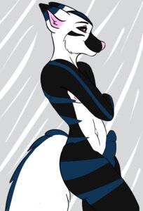 Rating: Explicit Score: 0 Tags: 2013 anthro black_body black_fur canid canine corgicraft e621 erection fluffy fox fur genitals male mammal penis pose rcfox solo stripes User: bunchy7s