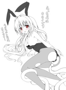 Rating: Explicit Score: 0 Tags: breasts bunny_girl clothing female konjiki_no_yami monochrome nipples oppai pussy rule34 small_breasts tentacle to_love-ru tomusooya translation_request vagina User: bunchy7s Rating: Explicit Score: 0 Tags: breasts bunny_girl clothing female konjiki_no_yami monochrome nipples oppai pussy rule34 small_breasts tentacle to_love-ru tomusooya translation_request vagina User: bunchy7s