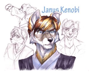 Rating: Safe Score: 0 Tags: 2011 anthro blue_eyes canid canine canis clothing cockiestspaniel domestic_dog e621 janus_kenobi male mammal robe simple_background singing smile solo white_background User: bunchy7s