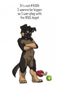 Rating: Explicit Score: 0 Tags: 2011 animal_genitalia anthro ball blue_eyes canid canine canis child domestic_dog e621 elliot_(yut) english_text fully_sheathed genitals german_shepherd herding_dog hi_res male mammal pastoral_dog sabretoothed_ermine sheath shota simple_background solo tail tennis_ball text toy transformation white_background young young_anthro young_male User: bunchy7s