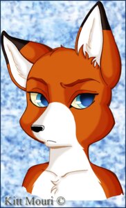 Rating: Safe Score: 0 Tags: ambiguous_gender anthro blue_eyes bust_portrait canid canine e621 eyebrows fox front_view kittmouri mammal portrait raised_eyebrow simple_background solo User: bunchy7s
