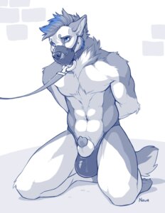 Rating: Explicit Score: 0 Tags: 2014 abs animal_genitalia animal_penis anthro athletic bdsm biceps biped blue_eyes blue_hair bondage bound bulge canid canine canine_genitalia canine_penis canis chest_tuft claws clothed clothing collar digital_media_(artwork) domestic_dog e621 featureless_chest feet fur gag gagged genitals german_shepherd hair half-erect herding_dog kneeling leash male mammal monochrome muscular muscular_anthro muzzle_(object) muzzled nava_(doggity) pastoral_dog pecs penis penis_tip pleading_eyes presenting restraints sheath solo submissive submissive_male thong toe_claws topless tuft underwear wolfy-nail User: bunchy7s Rating: Explicit Score: 0 Tags: 2014 abs animal_genitalia animal_penis anthro athletic bdsm biceps biped blue_eyes blue_hair bondage bound bulge canid canine canine_genitalia canine_penis canis chest_tuft claws clothed clothing collar digital_media_(artwork) domestic_dog e621 featureless_chest feet fur gag gagged genitals german_shepherd hair half-erect herding_dog kneeling leash male mammal monochrome muscular muscular_anthro muzzle_(object) muzzled nava_(doggity) pastoral_dog pecs penis penis_tip pleading_eyes presenting restraints sheath solo submissive submissive_male thong toe_claws topless tuft underwear wolfy-nail User: bunchy7s