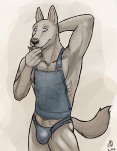 Rating: Questionable Score: 0 Tags: 2013 abs anthro biceps biped blue_eyes bulge canid canine canis cinnamonhuskie clothing domestic_dog e621 male mammal muscular muscular_anthro muscular_male nipples pecs pose pubes solo standing thong underwear User: bunchy7s