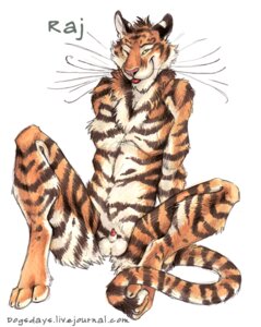 Rating: Explicit Score: 0 Tags: animal_genitalia anthro balls blotch chest_tuft e621 feet felid flaccid fur genitals hindpaw looking_at_viewer male mammal nude one_eye_closed orange_body orange_fur pantherine paws penis penis_tip presenting raj_(blotch) reclining sheath simple_background small_penis solo spread_legs spreading stripes tail text the_dog's_days_of_summer tiger tuft url whiskers white_background white_body white_fur yellow_eyes User: bunchy7s