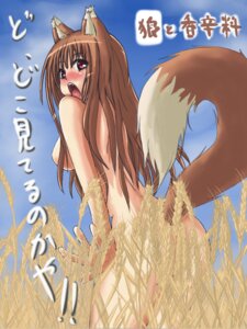 Rating: Questionable Score: 0 Tags: 3:4 animal_humanoid blush breasts brown_hair canid canid_humanoid canine canine_humanoid canis e621 embarrassed female field hair holo_(spice_and_wolf) humanoid japanese_text mammal mammal_humanoid nude red_eyes shouseki side_boob solo spice_and_wolf standing tail text translated wheat wheat_field wolf wolf_humanoid User: bunchy7s Rating: Questionable Score: 0 Tags: 3:4 animal_humanoid blush breasts brown_hair canid canid_humanoid canine canine_humanoid canis e621 embarrassed female field hair holo_(spice_and_wolf) humanoid japanese_text mammal mammal_humanoid nude red_eyes shouseki side_boob solo spice_and_wolf standing tail text translated wheat wheat_field wolf wolf_humanoid User: bunchy7s